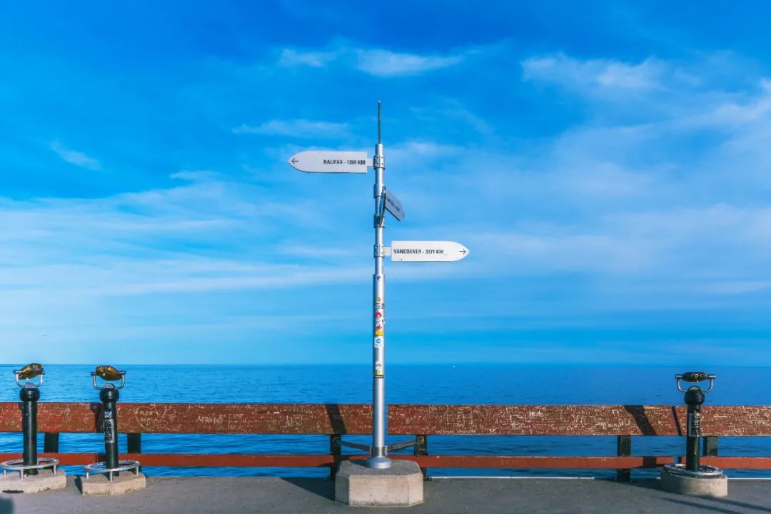 疫情之下，如何在混乱中重建内心的平静？