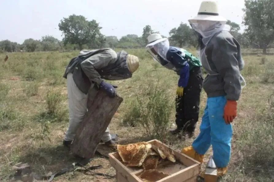 跟着古特雷斯的脚步！