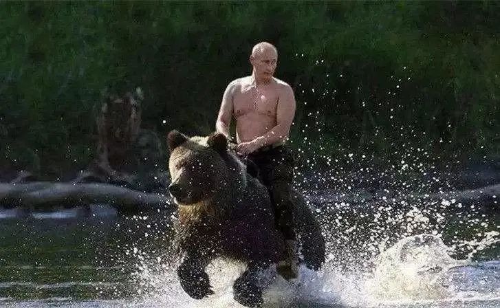 毛熊还能被摸多久？