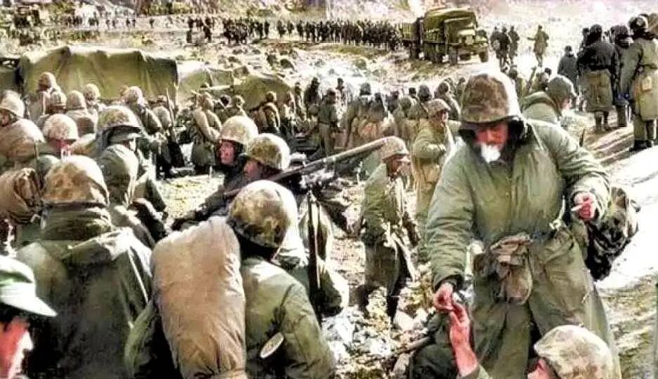 半岛异动，朝鲜做好开炮准备！德意日三国军队进驻韩国，朝鲜震怒：美国养的杂交狗！