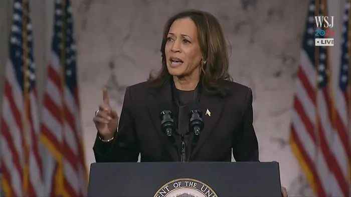 哈里斯败选后，民主党到处抓败选战犯！