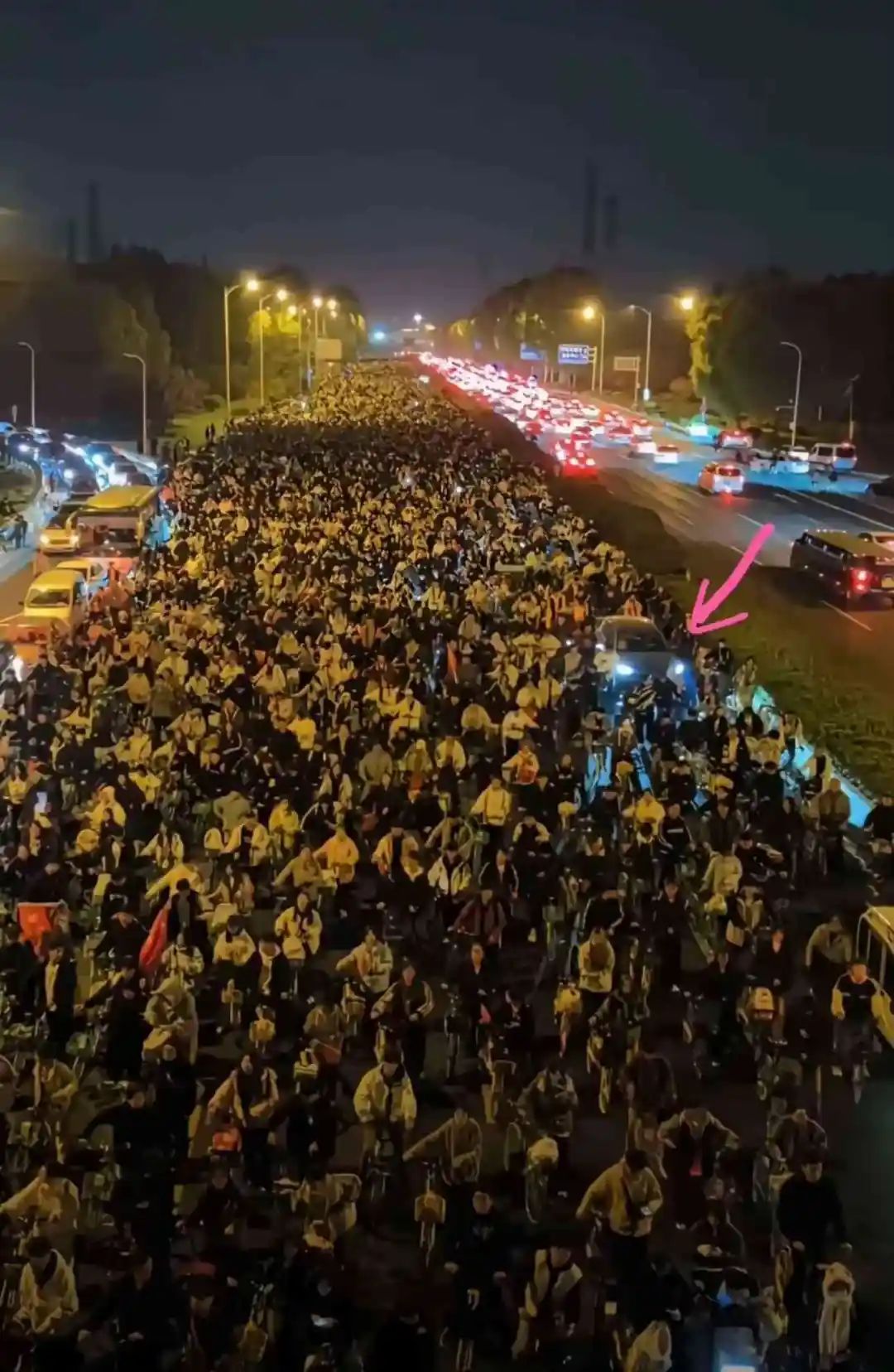 二十万大学生的迷茫！