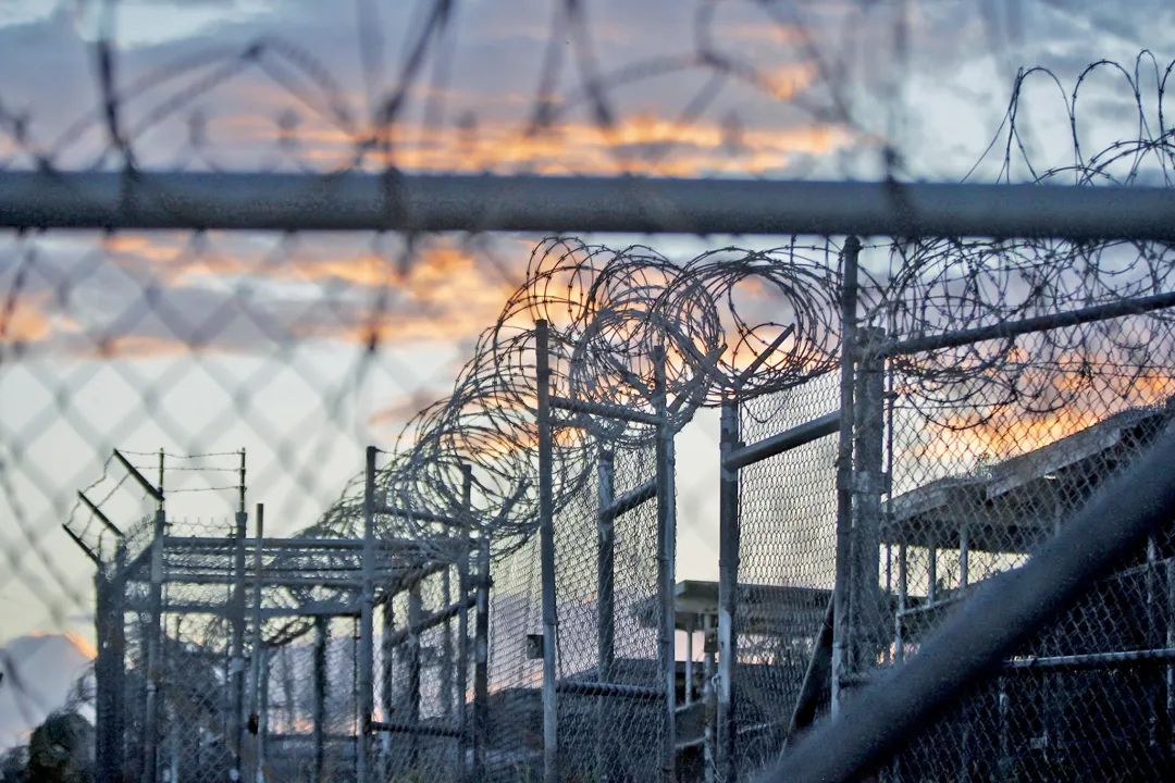 你被中国保护得太好了，所以成了傻白甜！