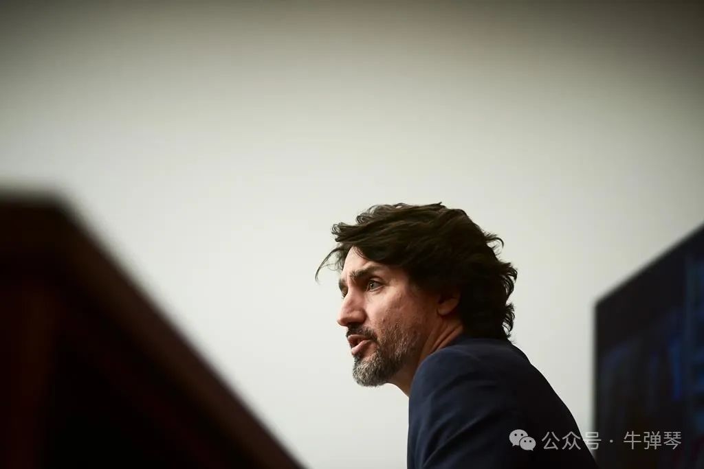 加拿大被狠狠打脸了！