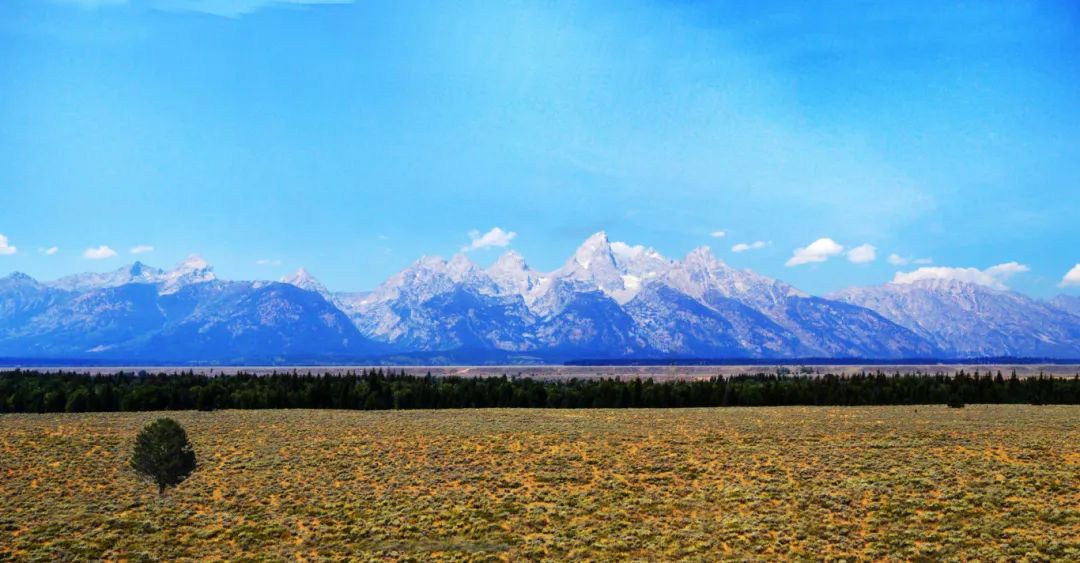 你回老家看到了什么？