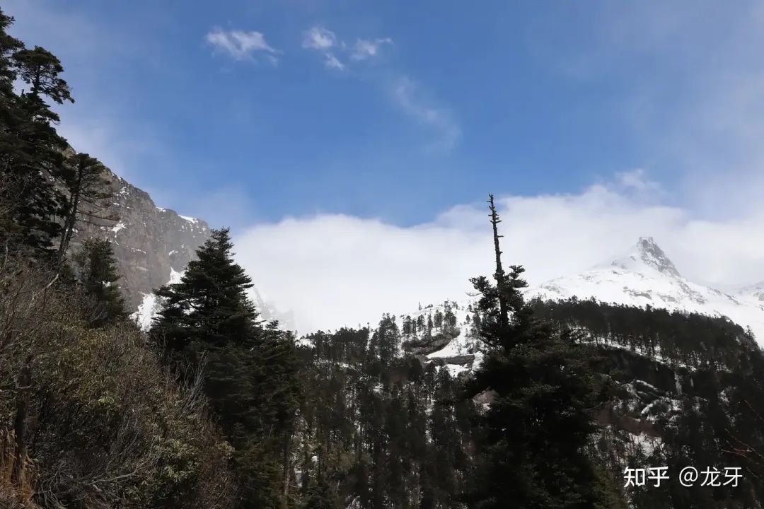墨脱——插向喜马拉雅山南面的尖刀！