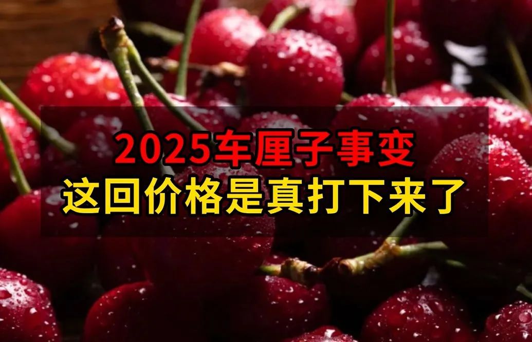 车厘子大降价背后的大国博弈！