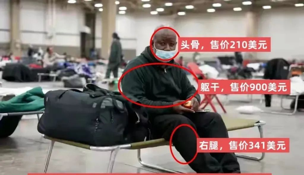不忍直视，美国老兵遗体被切割出售！