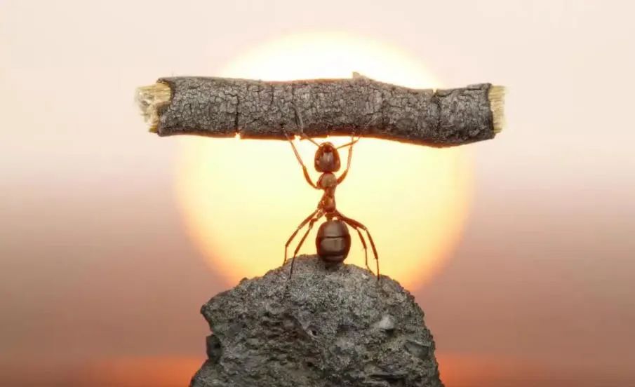 那个非洲大国，对台发出最后通牒！