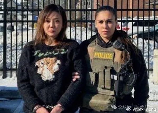 “太阳花女神”美国被捕，她被“台独”当工具使用了​11年！