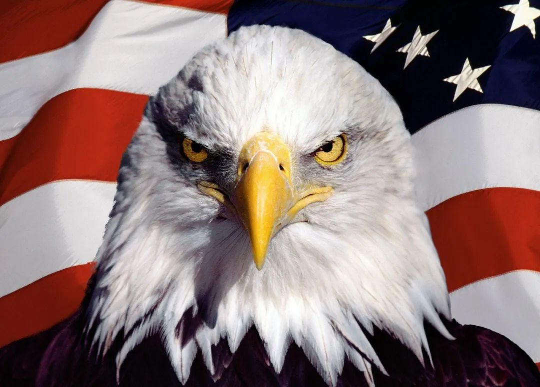 英、欧、日、韩同时动手！