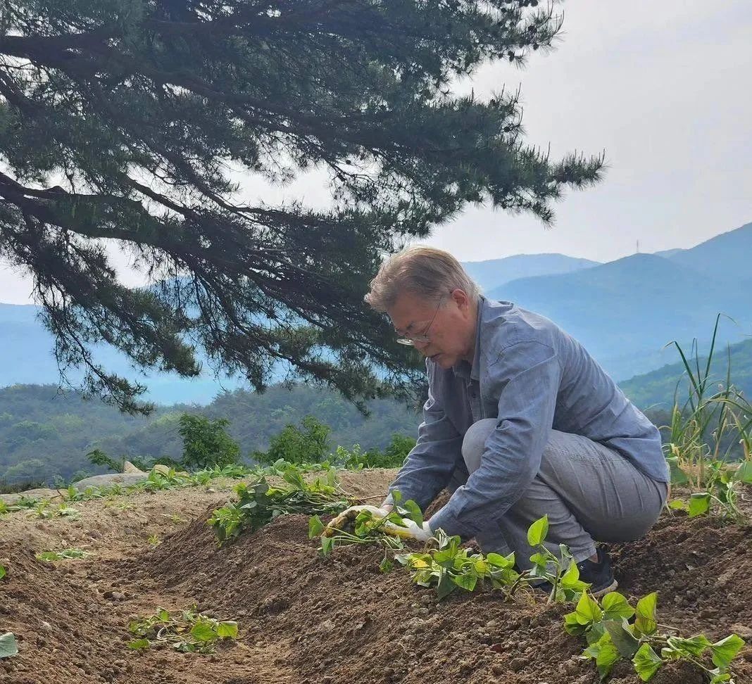 字少事大，文在寅也悬了！