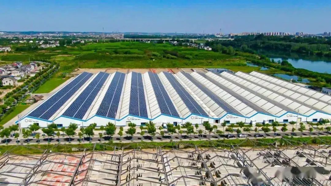 宜昌的这条鱼，暴打了美西方，构建了新秩序！