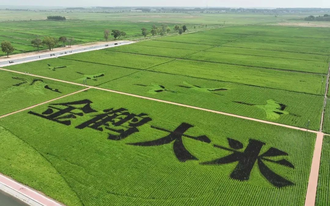 中国复兴的机遇，藏在广大的农村里！