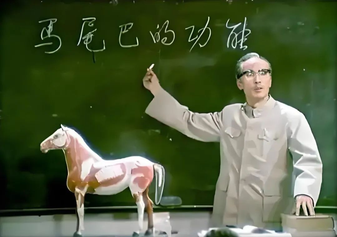 大学文科，都在研究些啥？