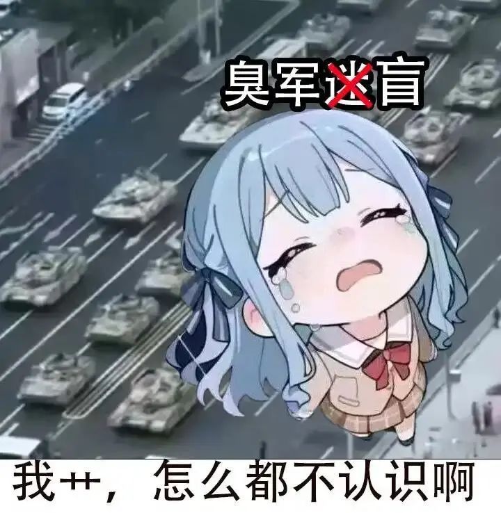 军迷，一夜之间成军盲了！