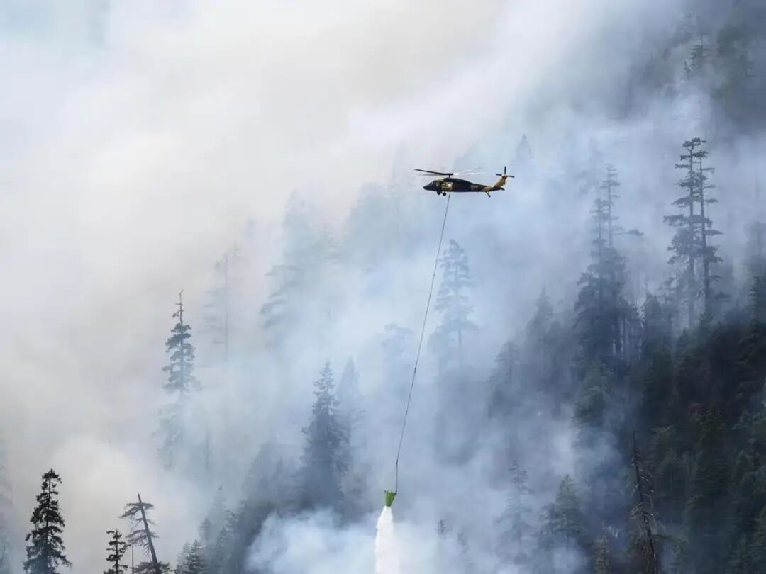 两名消防员灭火时，突然被当成非法移民逮捕！