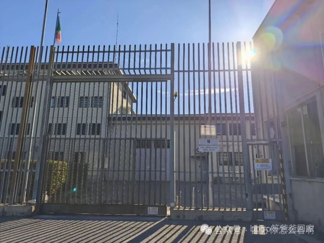 全球治理倡议的背后！