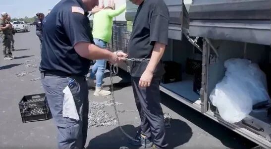 300名韩国工程师奉命建设美国工厂，被拴上铁链带走