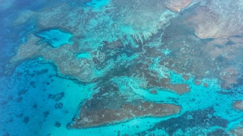 两个重大喜讯：大国博弈关键时刻，中国炼出“降魔”大法宝！