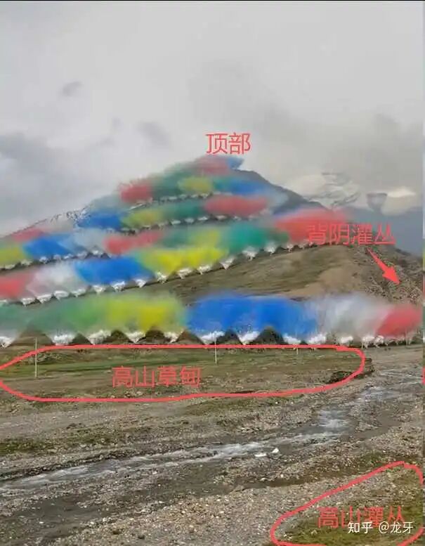 如何看待蔡国强的高原烟花秀？