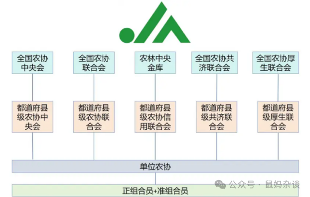 日本农协组织架构