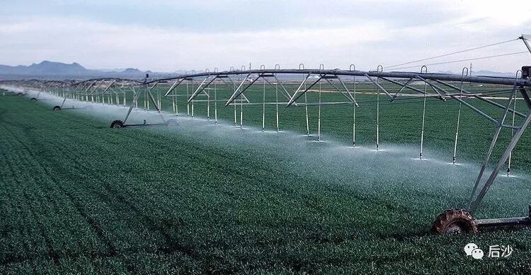 了解对手:美国是如何成为超级农业大国的?