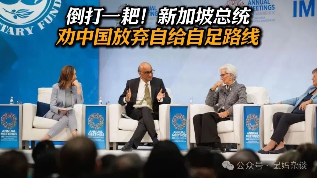 新加坡在赌什么？