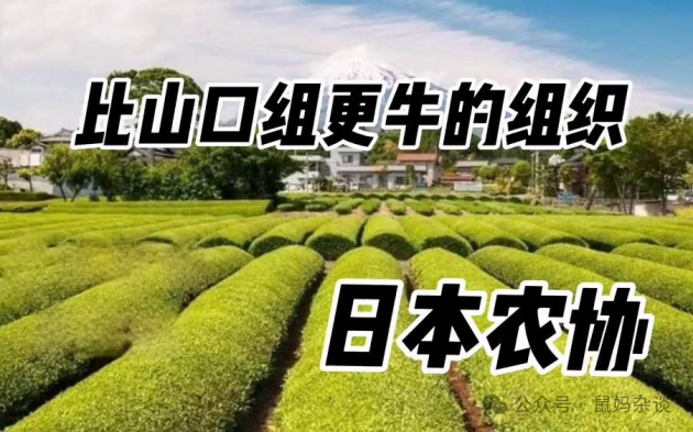 比山口组更厉害的组织日本农协