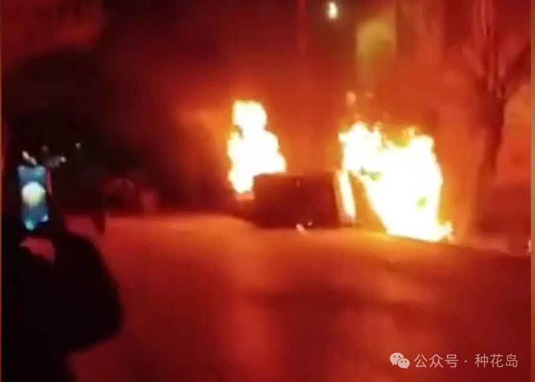 伊朗终于自食恶果！