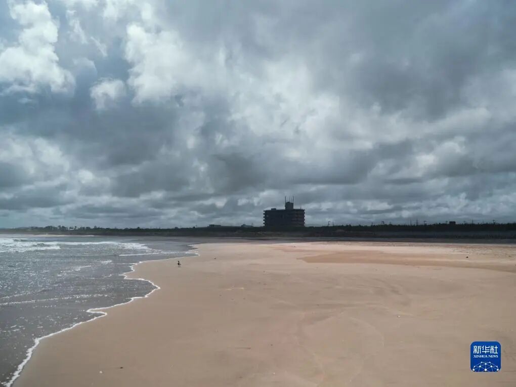 中国对日出口管制，高市早苗败光了日本最后的国运！