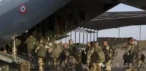 研战史 评战例 学战将 | ⑥ 法军“薮猫行动”研究