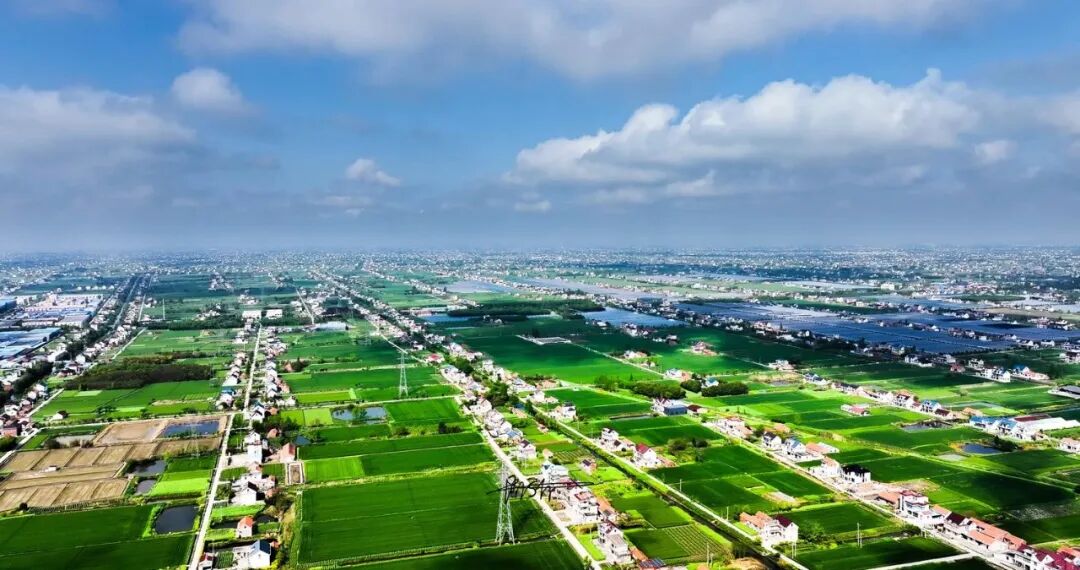 中国为什么没有“斩杀线”？