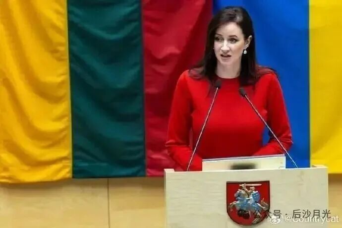 挨了中国铁拳，立陶宛总理认错！但她仍搞不清楚状况！