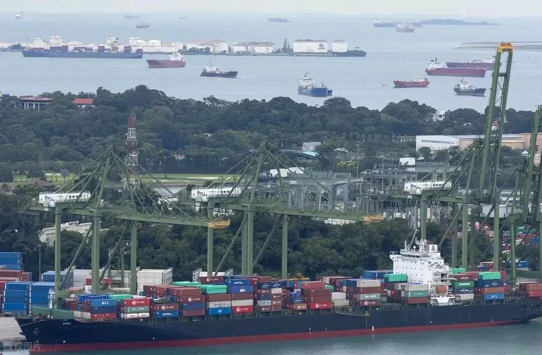 新加坡彻底破防了！