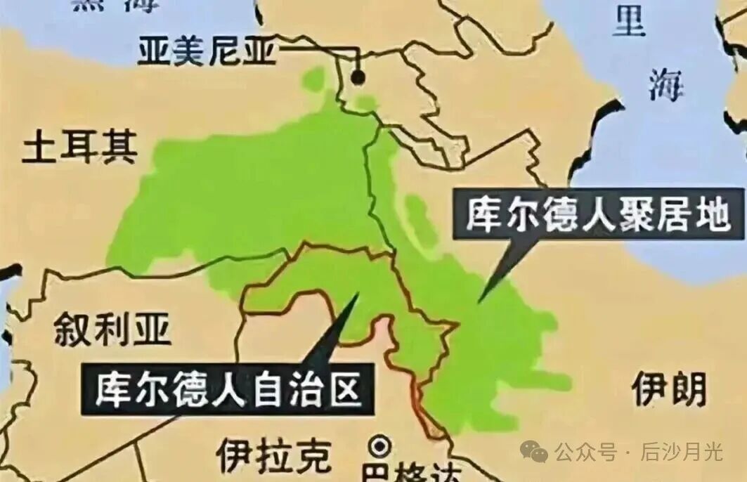 “放蒋出笼”！美国又开始忽悠库尔德人！