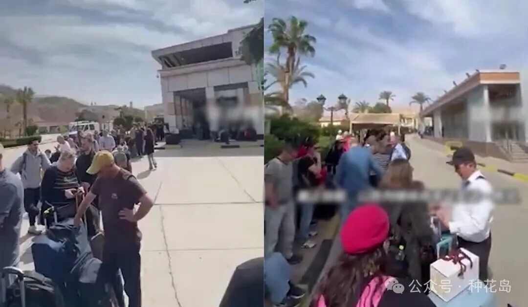 加沙人的苦难正回敬到以色列人身上！