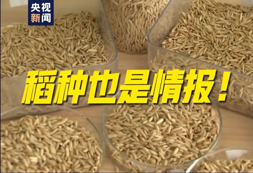 日本间谍潜入中国农村，盯上了14亿人的饭碗！
