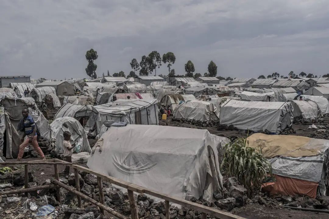 完了，当美国走狗原来这么惨！