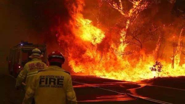 澳大利亚，为啥连火都灭不了？