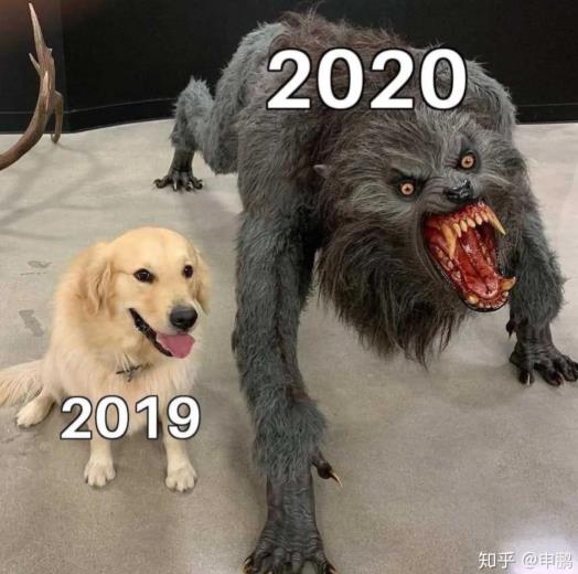 美国需要给世界一个交代！