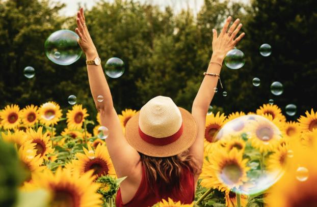 有一种快乐，始于眼底，归于心灵！