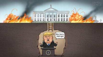 纽约游击队---除草剂！