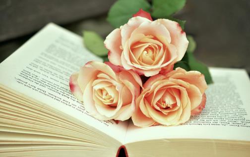 人生最重要的能力（纯干货）！