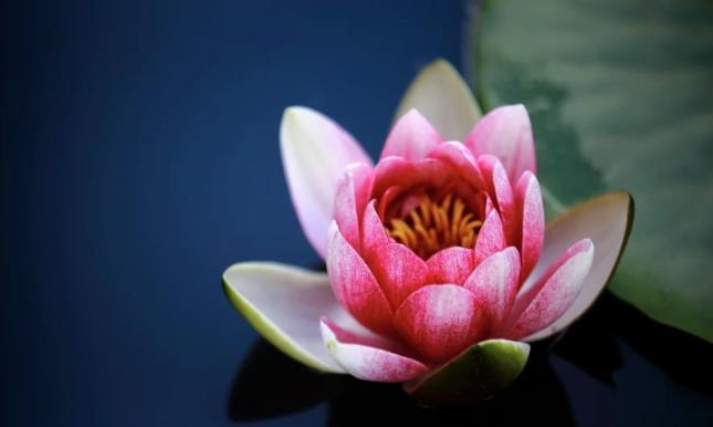 王阳明：成大事者，牢记6字箴言！