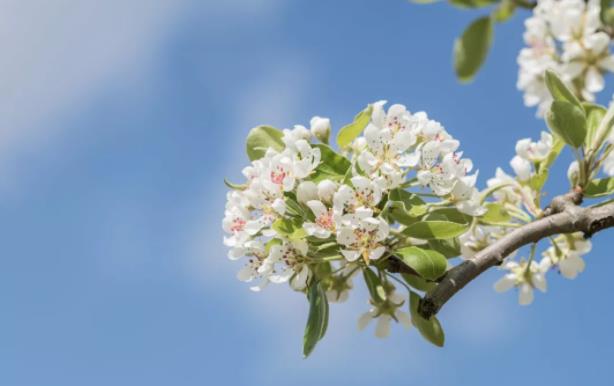 有一种累，叫想太多！
