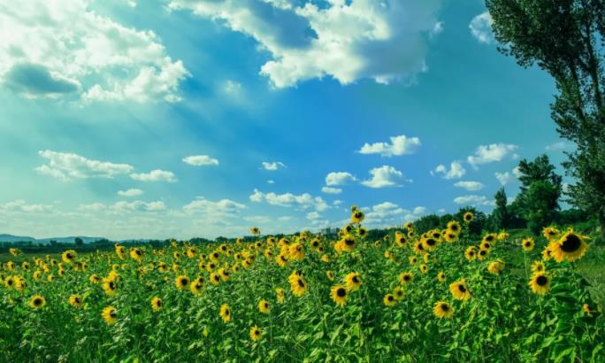 时间，最识人心！