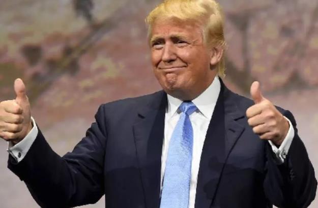 狗还想给自己选主人？