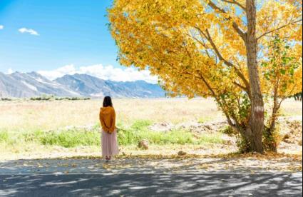 煮粥三分米，做人三分己（深刻）！