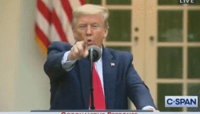 特朗普，终是作茧自缚，搬起石头砸了自己的脚！